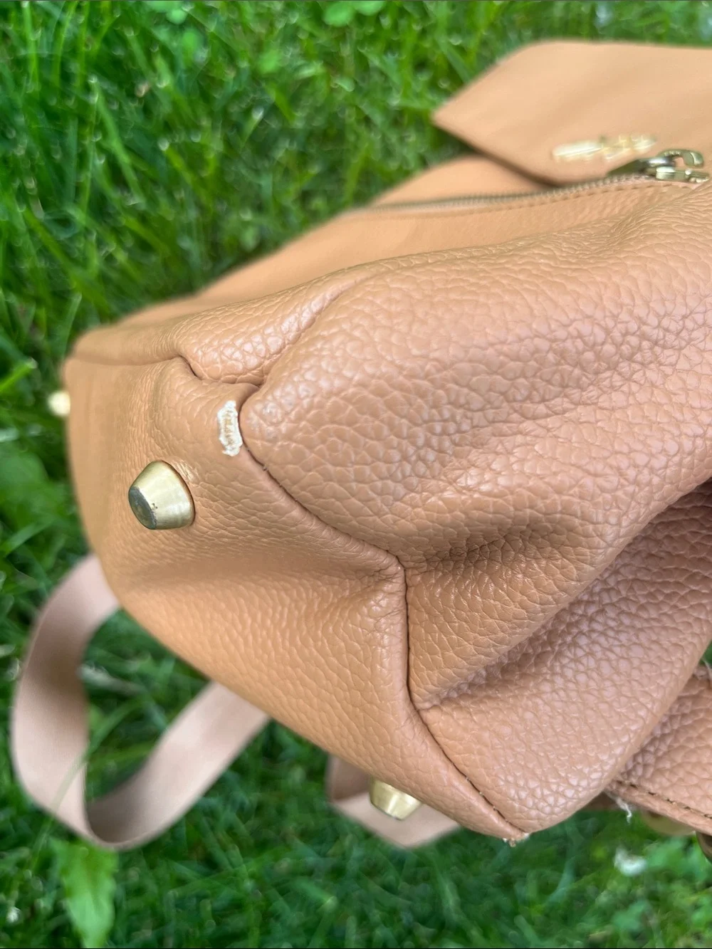 Free People stylish tan
